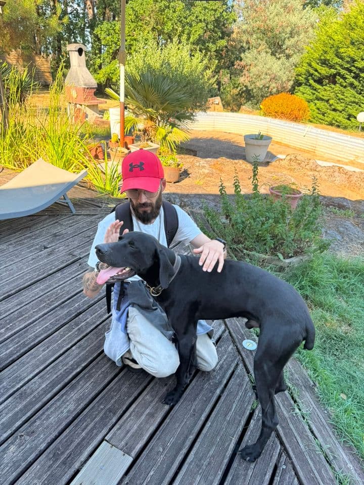Artemis en balade, aux côtés de son accompagnant