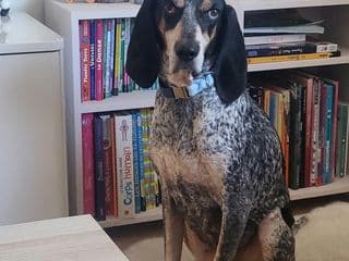 Portrait de Dolly assise devant une bibliothèque