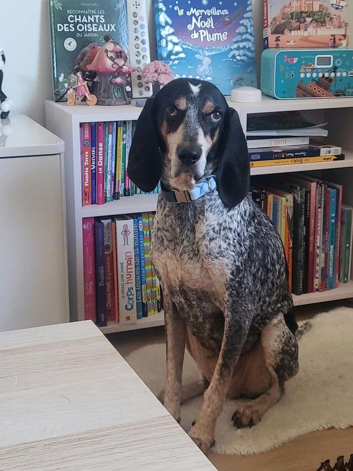Portrait de Dolly assise devant une bibliothèque