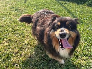 Mady debout dans l’herbe du jardin