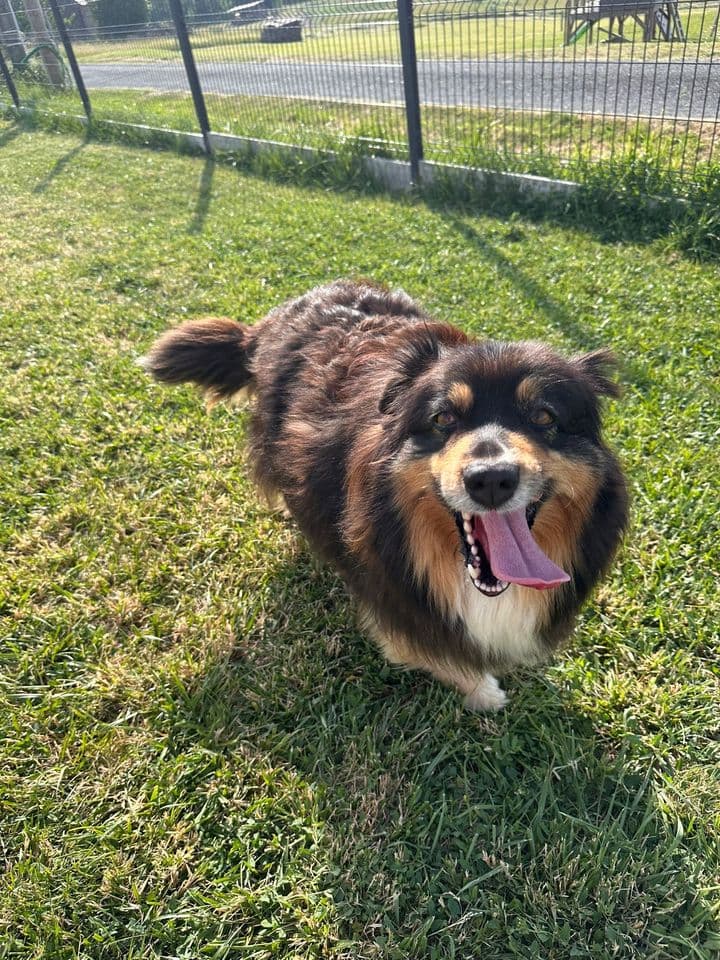 Mady debout dans l’herbe du jardin