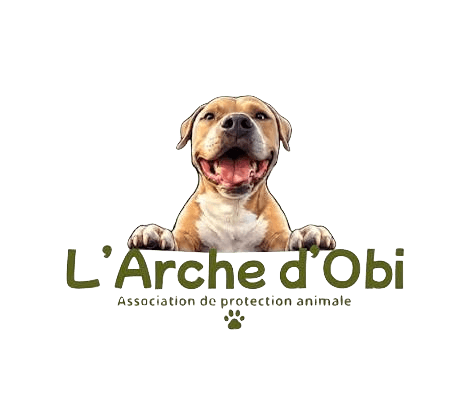 L’Arche d’Obi
