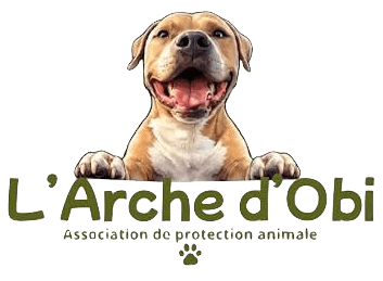 L’Arche d’Obi